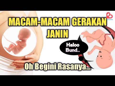 Video: Apakah jenis gerakan?