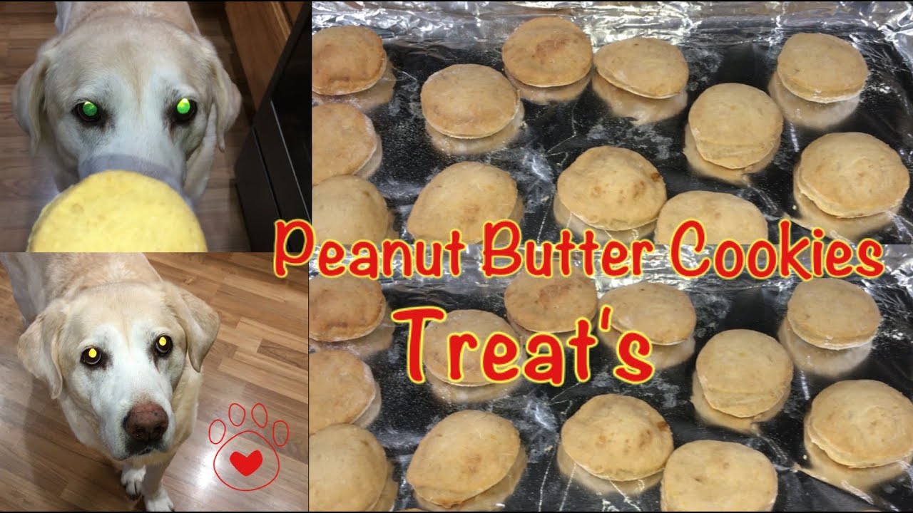HOW TO MAKE EASY PEANUT BUTTER DOG TREATS YouTube
