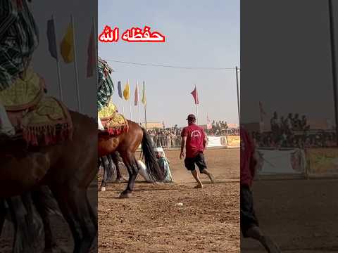 حوادت الخيل الستار الله اللهم احفظ الراكب والمركوب