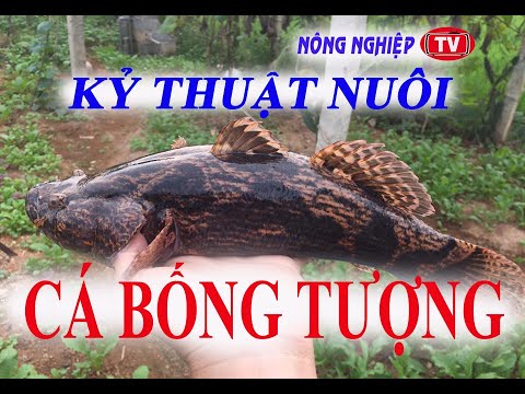 Video: Khủng hoảng trong kinh doanh gia đình - tại sao và như thế nào?