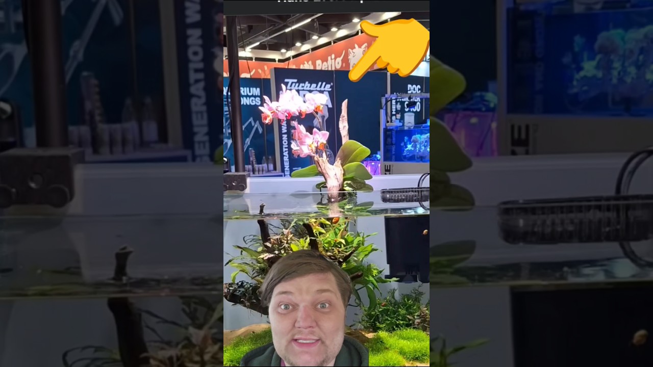 The Next BIG STUPID TREND IN AQUASCAPING! #interzoo 2026 #aquascape #Youturnmeround #Fishtory 🇩🇪