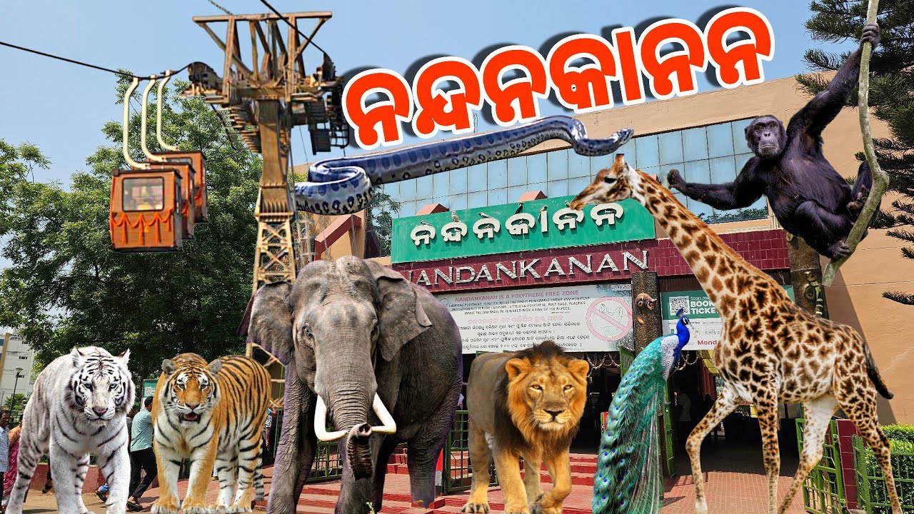 Nandankanan (ନନ୍ଦନକାନନ) | Bhubaneswar Tourist Places | 