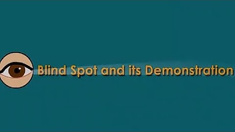 Light। Part-10 Blind Spot। NCERT Class 8 Science Chapter-16