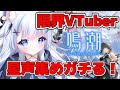 【鳴潮/wutheringwaves】限界VTuber雑談しながら星声ガチで集めていく【初見歓迎 】