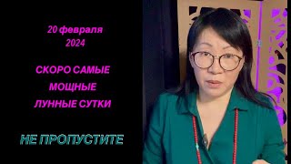 20 февраля 2024/ 12 лунные сутки #отливкавоском