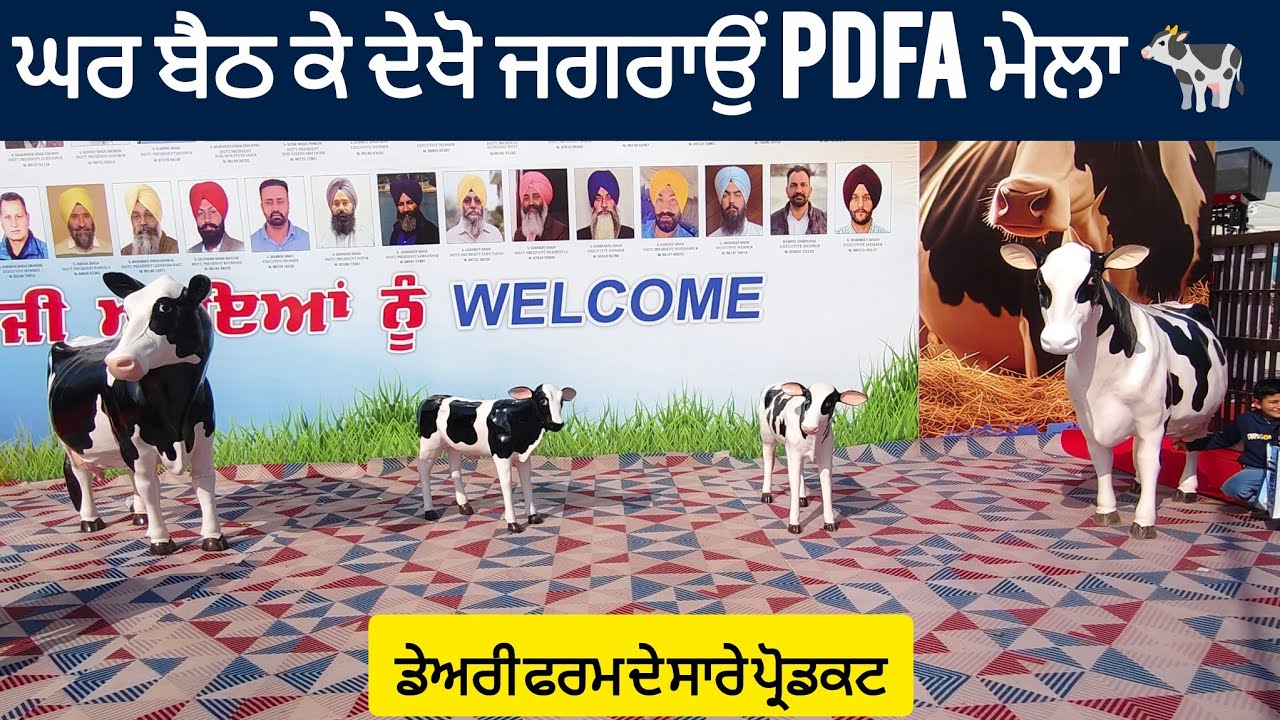 Jagraon Pashu Mela 2026 | Punjab Da Sab Ton Vadda Pashu Mela