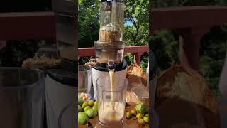 Have you tried Guinep Juice? #limoncillo #quenepa #guinep #juice #coldpress #organic #nature #jungle