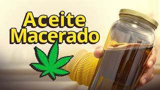 Receta de Macerado en Aceite de Oliva (Muy Fácil)
