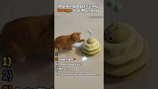 Ranking Best Funny Orange Cat Moments Pt2 #funny #cat #cats #catshorts #catvideos #orangecat #best