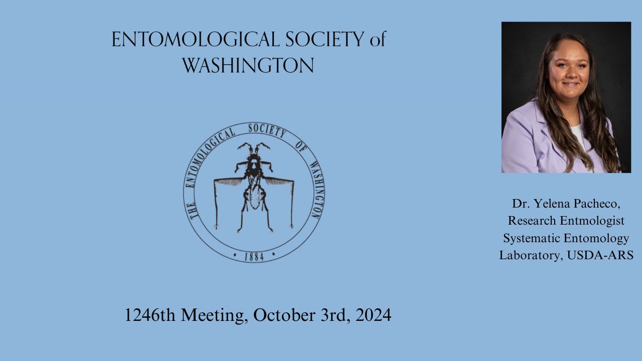 ESW: Worldwide Firefly Evolution and Diversity of their Sexual Signaling Structures