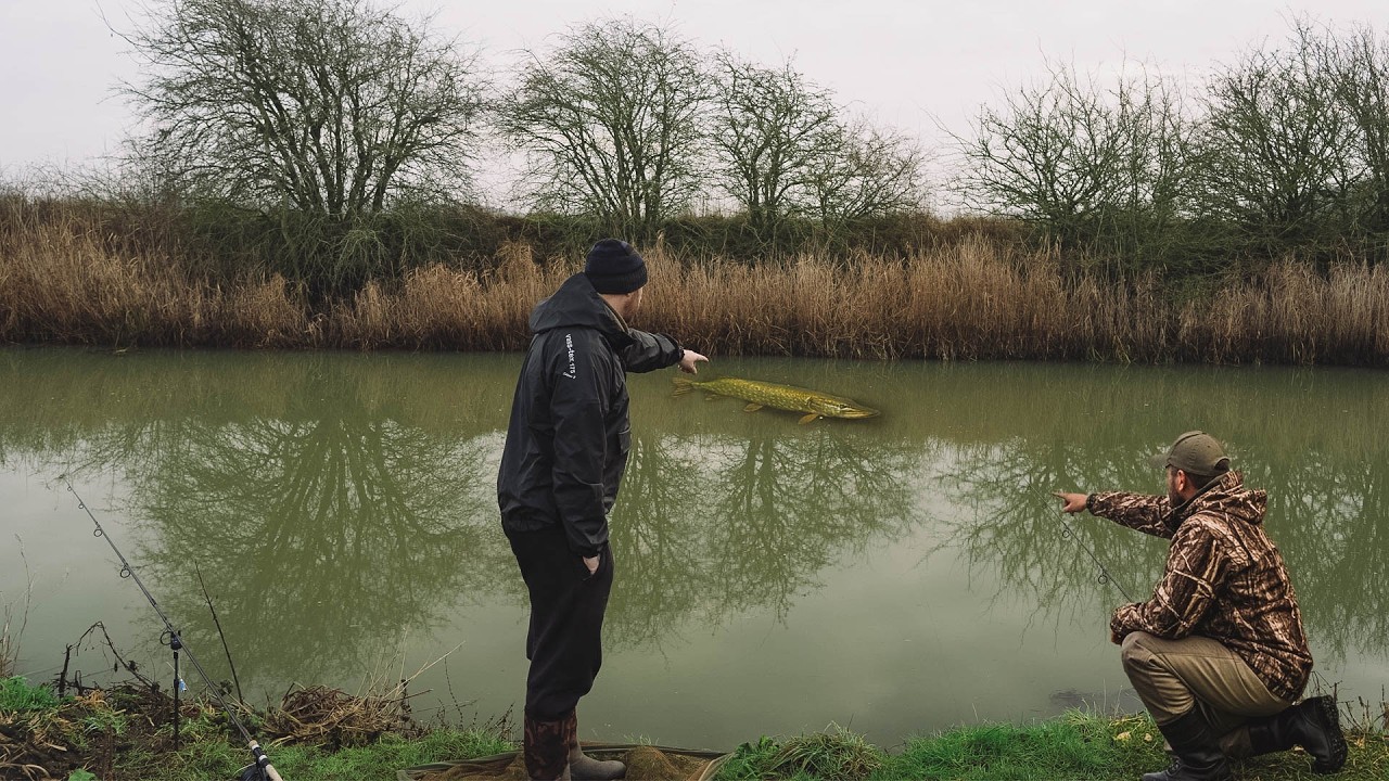 I wasnt expecting this - Pike Fishing