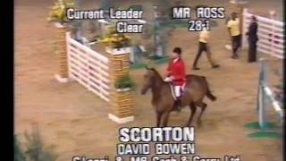 David Bowen - Scorton - 1981 King George V Gold Cup