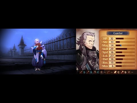 Fire Emblem Fates Footage Test