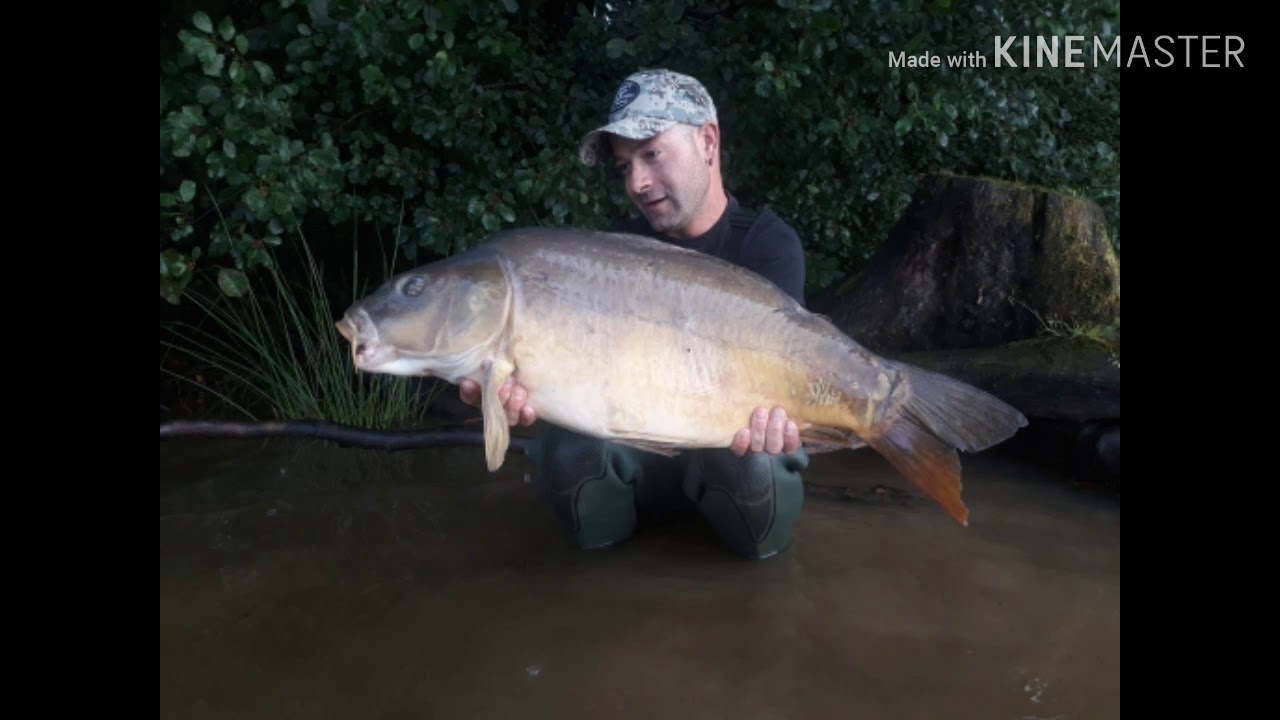 Wild fishing team au vieilles forges prologickorda
