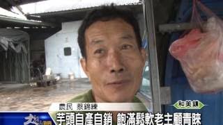 1040827芋頭自產自銷 飽滿鬆軟老主顧青睞