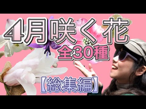 【総集編】季節は春!4月に咲く花、植物、樹木、個人邸におすすめです。【Green Lovers通信】全30種類を一気にご紹介します。