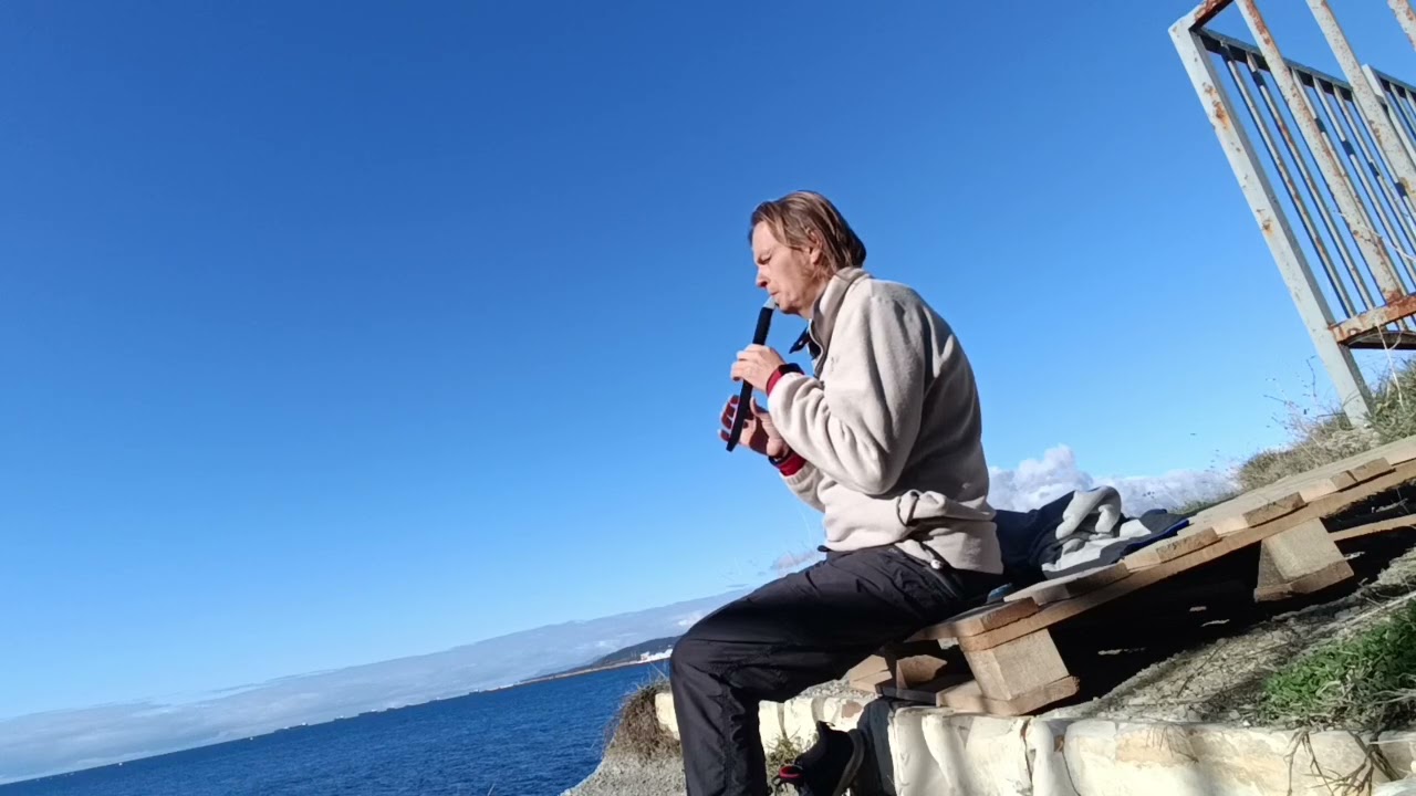 На берегу моря 