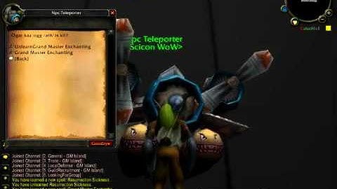 Scicon WoW Teleporter NPC