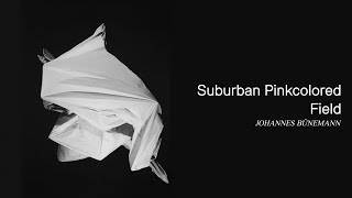 Johannes Bünemann - Suburban Pinkcolored Field [audio]