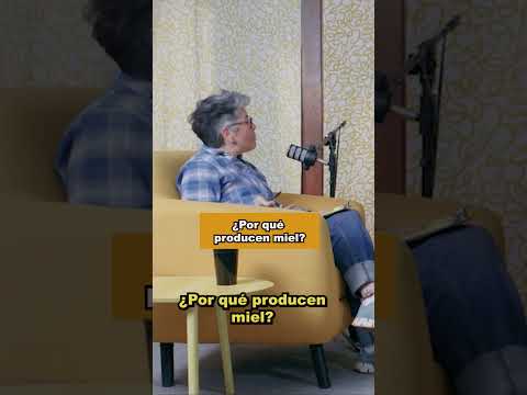 ABEJAS en TENGO MUCHAS PREGUNTAS AL RESPECTO