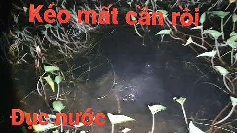 Cắm câu cá lóc kéo đục nước vậy mới sướng