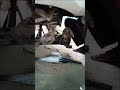 हुंडई EON #shorts #youtubeshorts #automobile #vlog #viral #shortvideo #trending #car #service