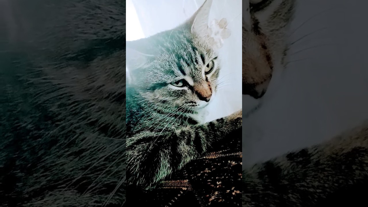 развивайтесь!!!