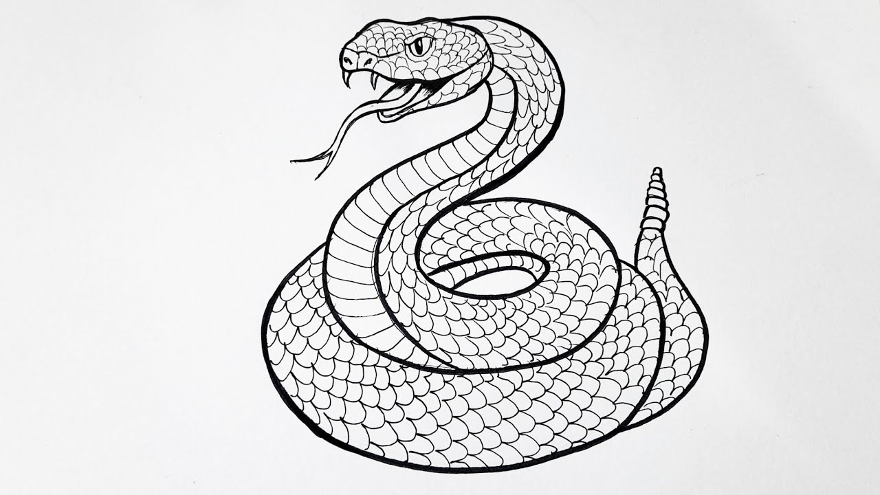 How to Draw a Cobra Snake Step By Step | Easy Snake Drawing - YouTube