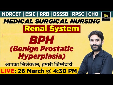Renal System -