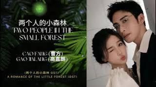 Two People In The Small Forest (两个人的小森林) - Cao Fang (曹方) & Gao Jialang (高嘉朗) || Hanzi/Pin/Eng Lyrics
