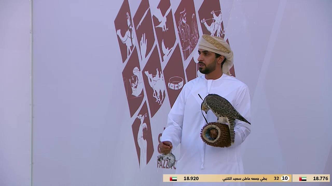 كاس محمد بن راشد لسباقات الصقور 2026 - عامة ملاك - جير تبع