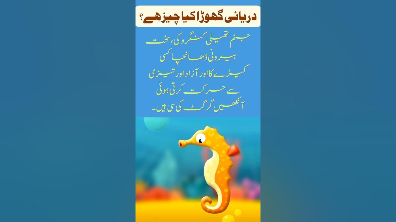 Darai Ghora Kia Cheez Ha What Is Seahorse shorts YouTube darai-ghora-kia-cheez-ha-what-is-seahorse-shorts-youtube
