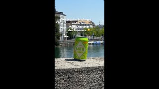 Neu: Freeway Mate Lime | Lidl Schweiz