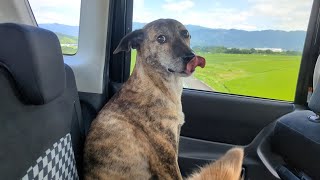 視聴者の方々へご報告