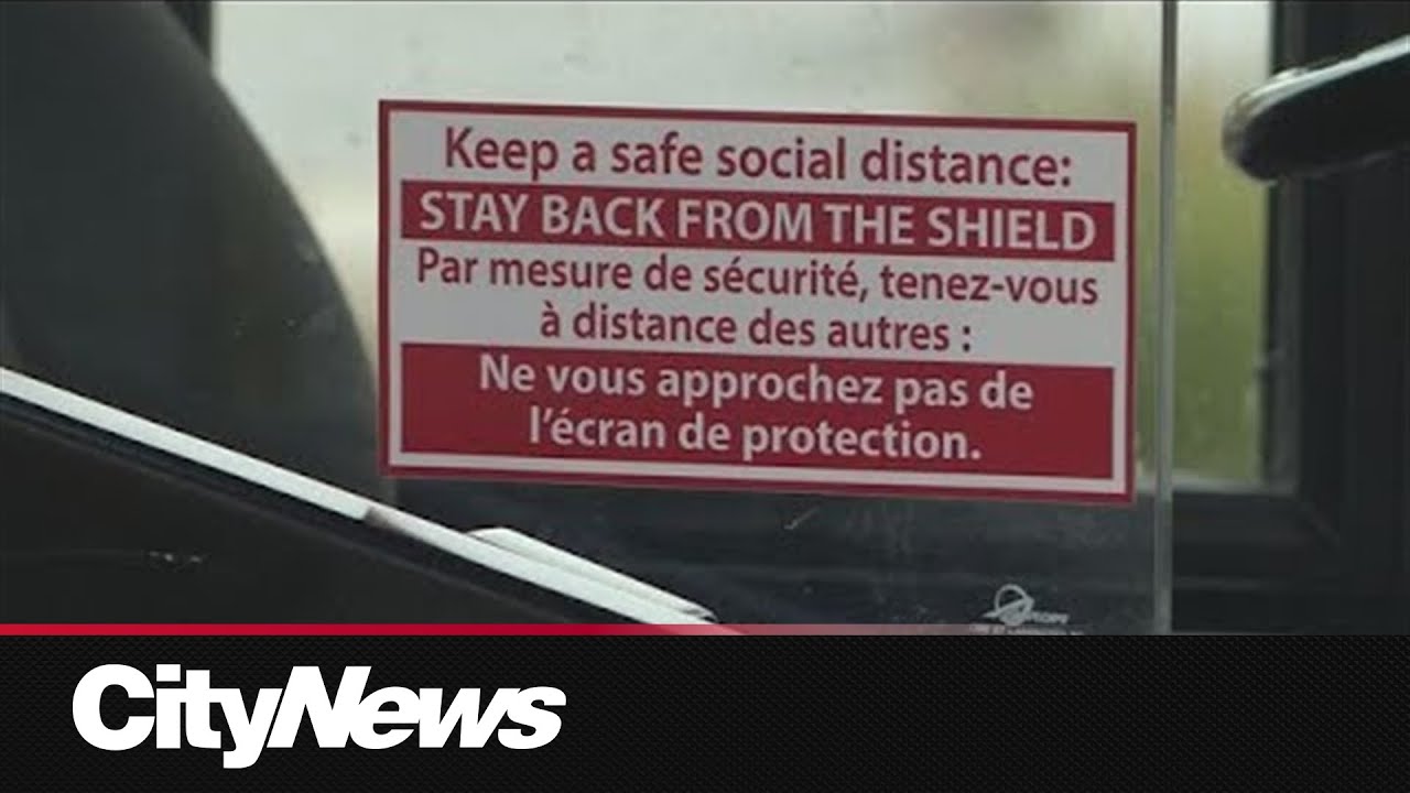 Winnipeg Transit driver recovering after being shot with pellet gun