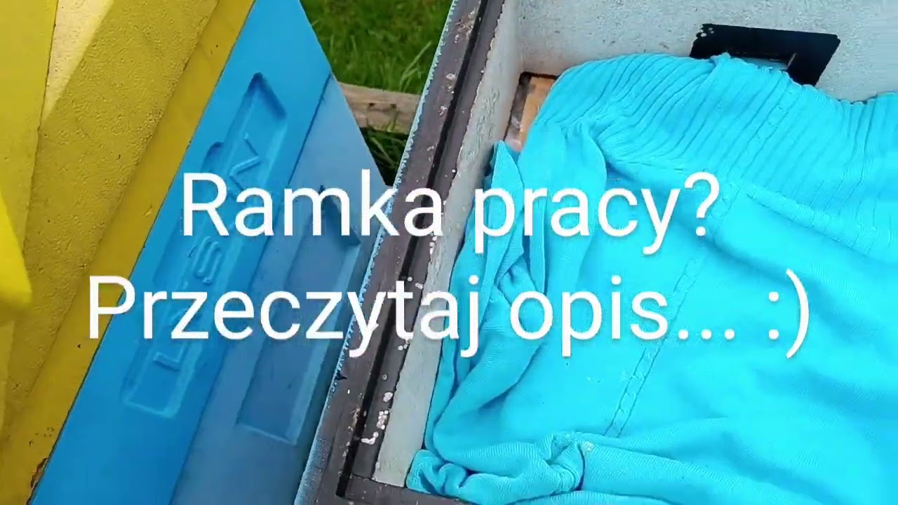 Ramka pracy,trutnie w ulu :)