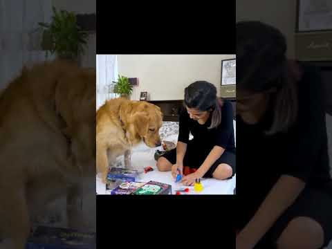 Steve reacts to Magic!