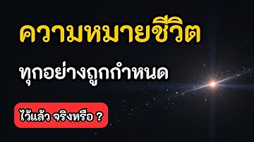 ความหมายของชีวิต: ชะตากรรมของเราถูกกำหนดไว้ล่วงหน้าโดยจักรวาลหรือไม่?
