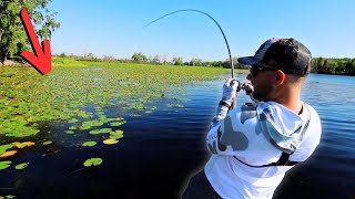 You'll NEVER Fish Grass The Same by BassFishingHQ 123,433 views 2 months ago 51 minutes