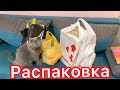 Распаковка посылок📦Укусила собака🙀VLOG