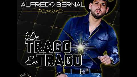 Alfredo bernal - de trago en trago