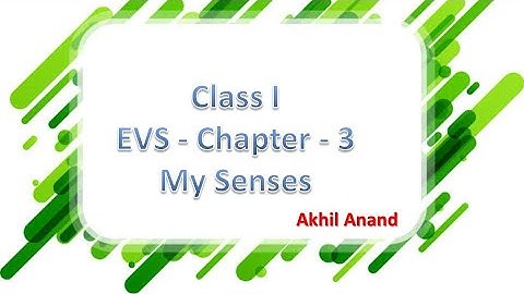 CLASS 1 EVS Chapter 3 - My senses