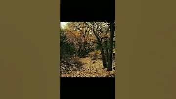 الولاية رقم 10 البويرة Bouira 