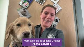 Over 59 000 pets helped