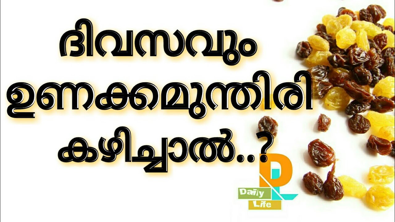 what happen if raisins eat dailyMalayalam Health tips YouTube
