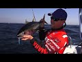 ASFN Deep Sea - Umkomaas with GT&#39;s, Couta &amp; Yellowfin Tuna