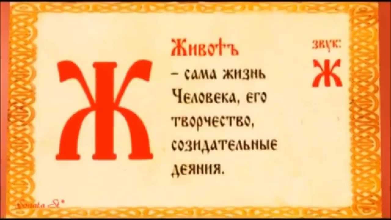 Е в ж в россии. Славянские буквы. Старославянская буква ж. Церковнославянская Азбука буква живите. Славянские буквы алфавит.