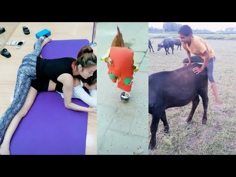 Vigo Lite Videos Comedy Vs Songs