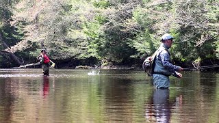 So many MICRO Trout!