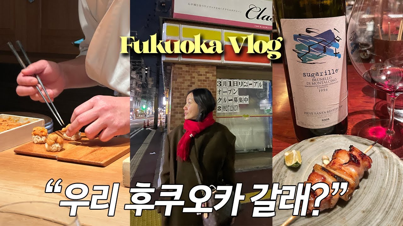 닥터패피vlog | 후쿠오카편 🇯🇵 2박 3일 미슐랭 미식여행 | 야키토리, 모츠나베, 스시, 가이세키, 스키야키 맛집까지 다 먹는 알찬 먹방